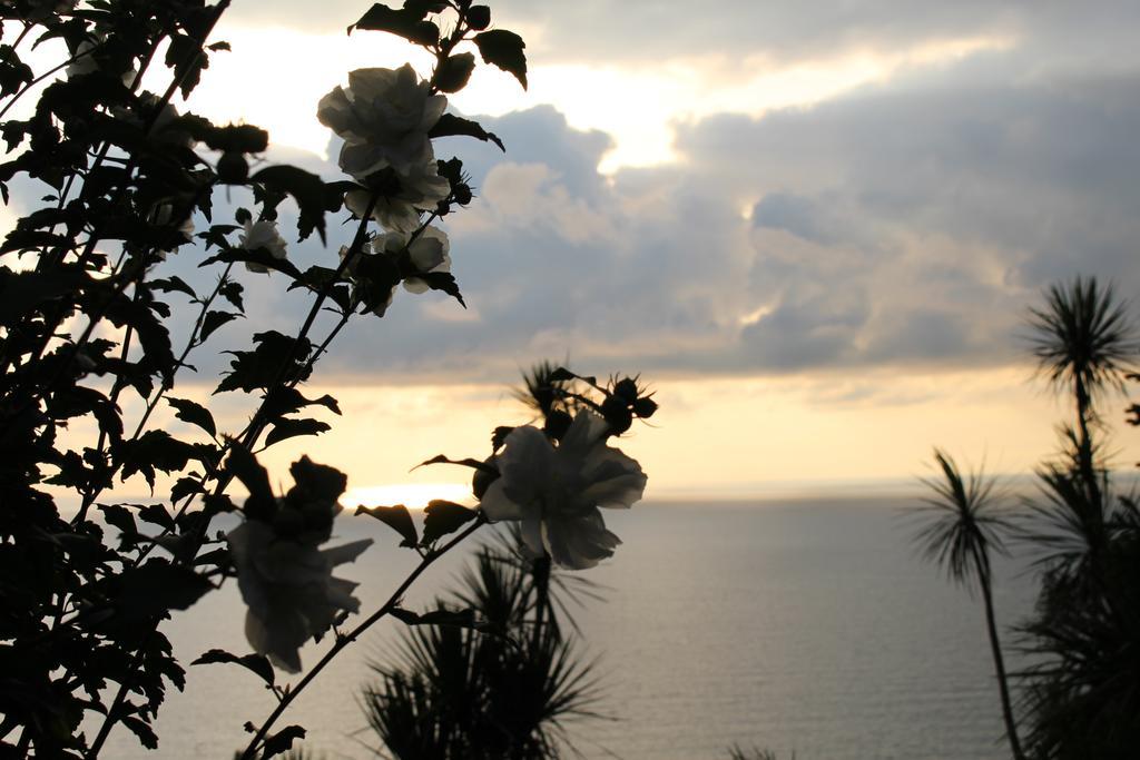 姆兹瓦内康茨基 Holiday House Green Cape Batumi酒店 外观 照片